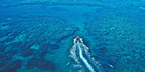Ocean Free & Ocean Freedom - Cairns Premier Reef And Island Tours - Goulburn Accommodation 4