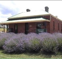 Lavender House in Railway Park - Goulburn Accommodation