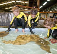 Australian Shark and Ray Centre - Goulburn Accommodation