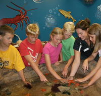 Naturaliste Marine Discovery Centre - Goulburn Accommodation