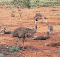 Hammond Park - Goulburn Accommodation