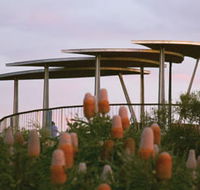 Reabold Hill Summit Boardwalk Bold Park - Goulburn Accommodation