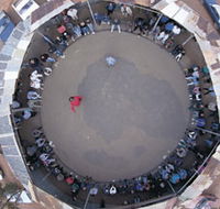 Two-Up School - Goulburn Accommodation