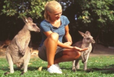 Jungle Tours And Trekking - Goulburn Accommodation 1