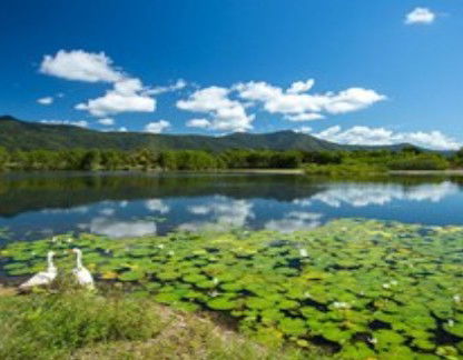 Blazing Saddles Adventures - Goulburn Accommodation 1
