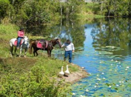 Blazing Saddles Adventures - Goulburn Accommodation 2