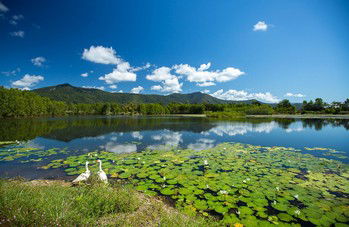 Blazing Saddles Adventures - Goulburn Accommodation 3