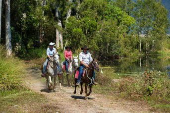 Blazing Saddles Adventures - Goulburn Accommodation 4