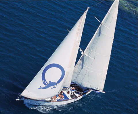 Ocean Free & Ocean Freedom - Cairns Premier Reef And Island Tours - Goulburn Accommodation 0