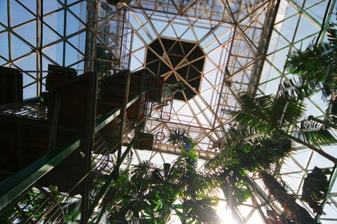 Cairns ZOOm And Wildlife Dome - Goulburn Accommodation 1