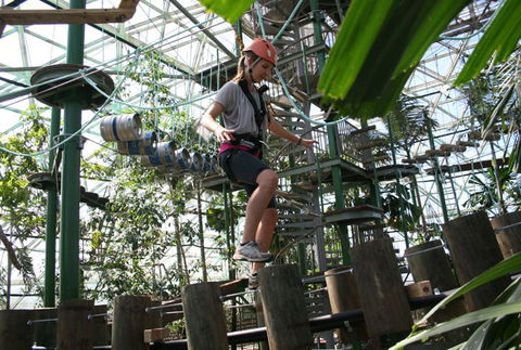 Cairns ZOOm And Wildlife Dome - Goulburn Accommodation 2
