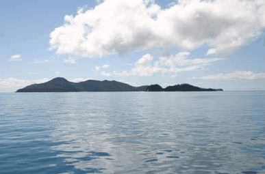Whitehaven Xpress Whitehaven Beach Tours - Goulburn Accommodation 2