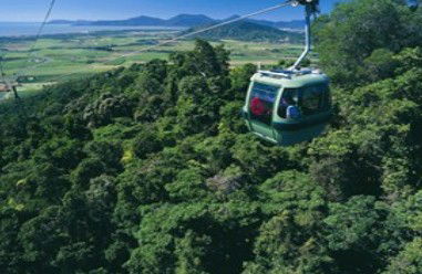 Tropic Wings Coach Tours - Goulburn Accommodation 2