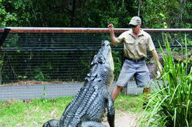 Tropical Horizons Tours - Goulburn Accommodation 4