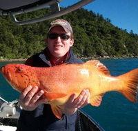Gone Fishing by Coral Sea Fishing Charters Airlie Beach - Goulburn Accommodation