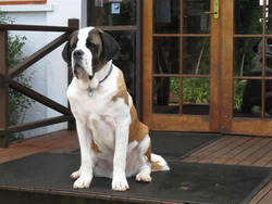 Mt Tamborine QLD Goulburn Accommodation