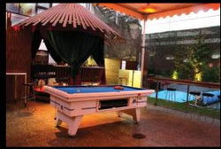 Birdee Num Num - Goulburn Accommodation 2