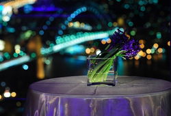 Summit - Orbit Lounge Bar - Goulburn Accommodation 3