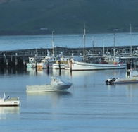 The Apollo Bay Hotel - Goulburn Accommodation
