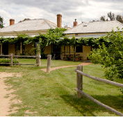 The Blue Duck Inn Hotel - Goulburn Accommodation