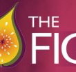 Pickled Fig - Goulburn Accommodation