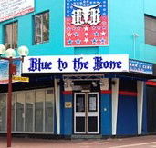 Blue to the Bone  - Goulburn Accommodation