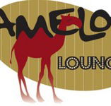 Camelot Lounge - Goulburn Accommodation