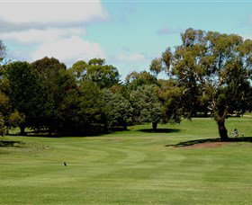 Cooma Golf Club - Goulburn Accommodation 1