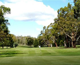 Cooma Golf Club - Goulburn Accommodation 0