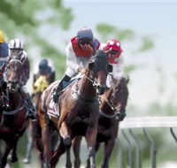 Colac Turf Club - Goulburn Accommodation
