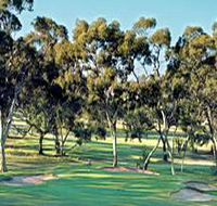 Tanunda Pines Golf Club - Goulburn Accommodation