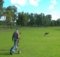 Coffin Bay Golf Club - Goulburn Accommodation