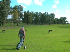 Coffin Bay Golf Club - Goulburn Accommodation 0