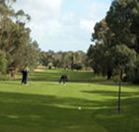 Mount Gambier Golf Club - Goulburn Accommodation