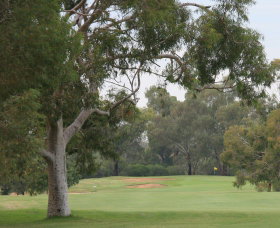 Tocumwal Golf Club - Goulburn Accommodation 2