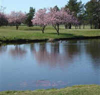 RMC Golf Club - Goulburn Accommodation