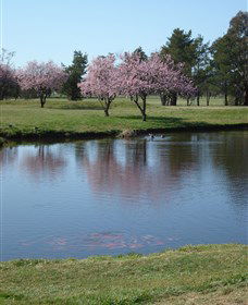 RMC Golf Club - Goulburn Accommodation 0