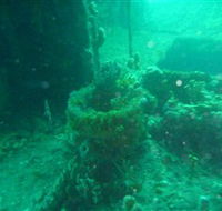Wallaroo Scuba Club - Goulburn Accommodation