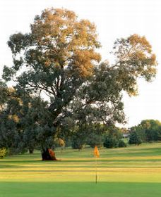 Cowra Golf Club - Goulburn Accommodation 0