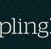 Dumpling Republic - Goulburn Accommodation