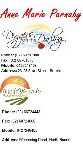 Back O' Bourke Motel - Goulburn Accommodation 7