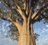 The Kimberley Grande - Goulburn Accommodation