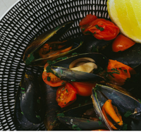 The Italian Diner - Goulburn Accommodation