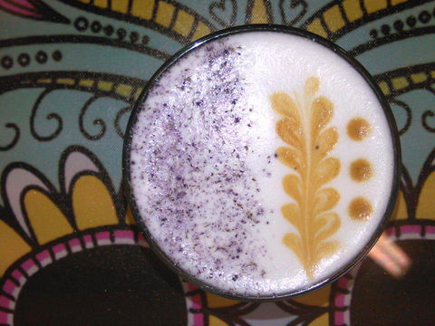 Yogolicious - Goulburn Accommodation 4