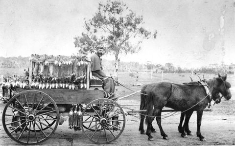 A Tale Of Two Villages - An Exhibition - Goulburn Accommodation 1