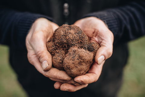 A Taste Of Truffles - Goulburn Accommodation 0