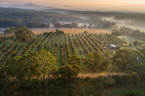 A Taste Of Truffles - Goulburn Accommodation 1