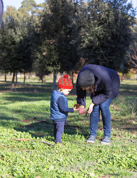 A Taste Of Truffles - Goulburn Accommodation 2