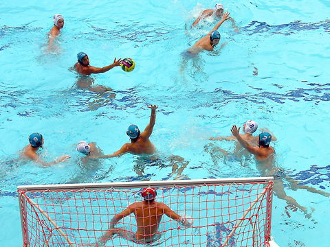 Australian Youth Water Polo Championships - Goulburn Accommodation 0