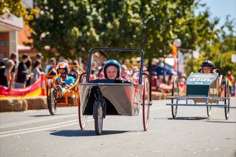 Australian Billy Cart Championships - Goulburn Accommodation 2